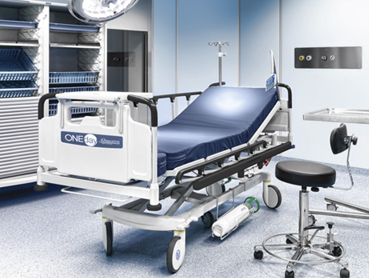 Hadassah Medical Moscow Malvestio